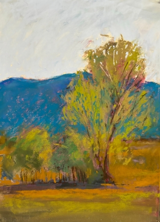 New Mexico Cottonwood by artist julia fletcher